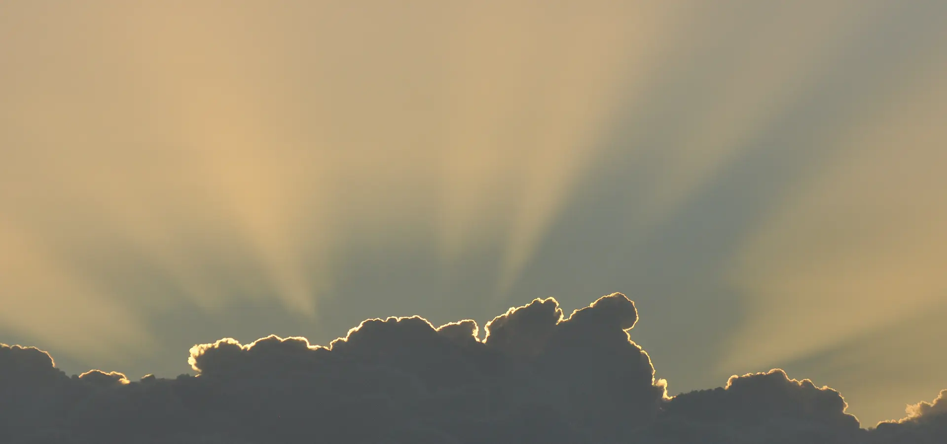 Transforming CPG manufacturing for Industry 5.0
